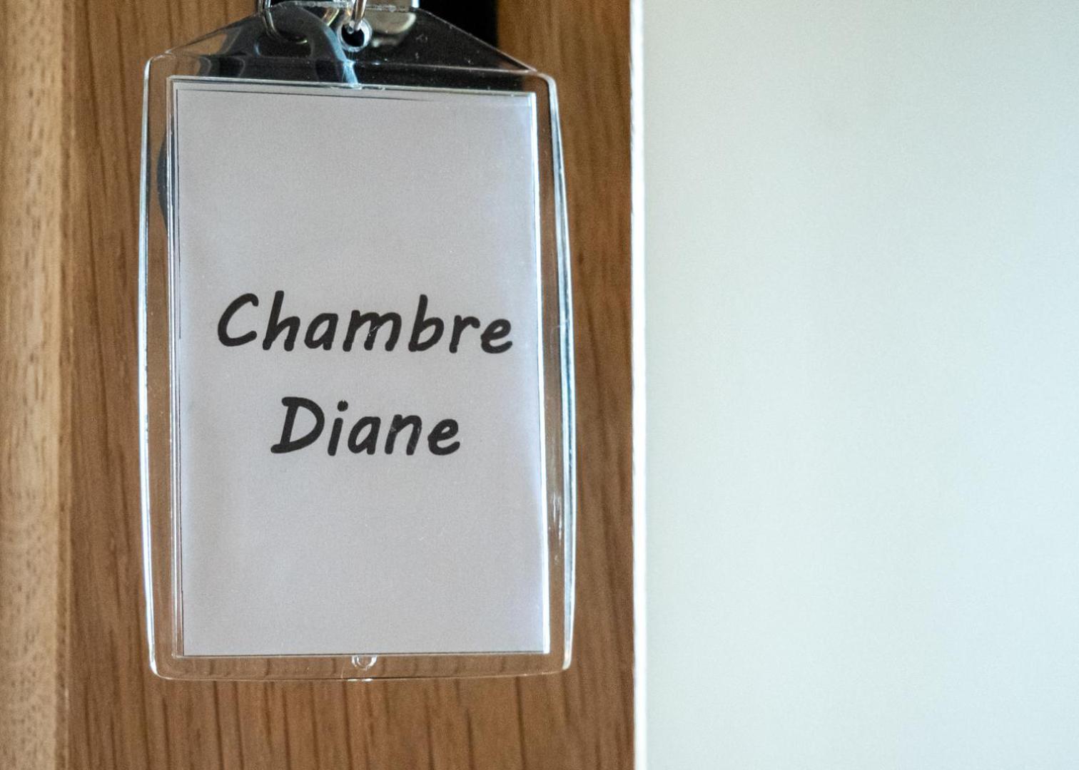 Chateau Du Bertry La Bouexiere Room photo